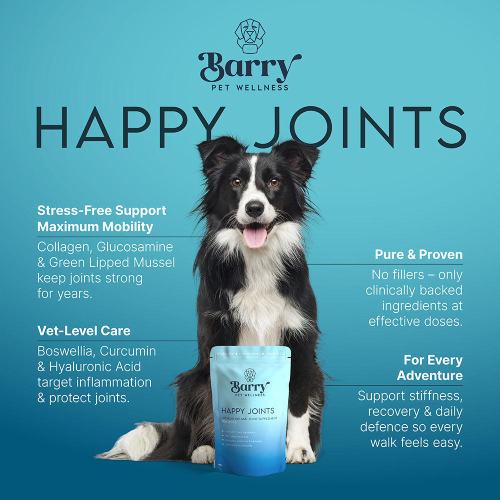 Happy Joints