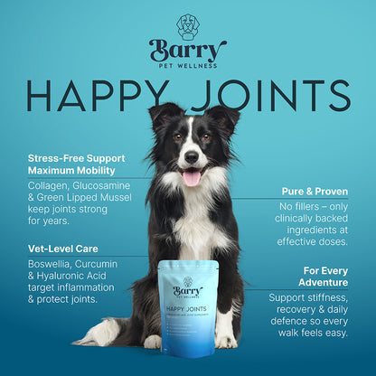 Happy Joints